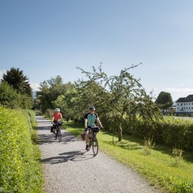 Innradweg, © Tirol Werbung/Frank Bauer
